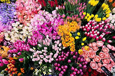 《崩坏：星穹铁道》驭空角色介绍视频 御姐大长腿吸睛